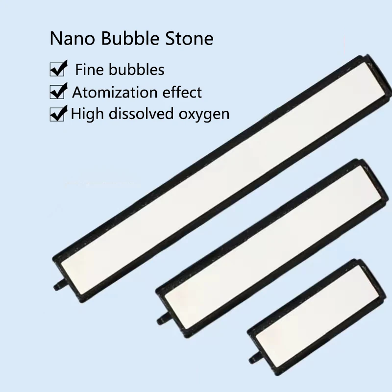 Aquarium Fish Quality - Di alta Qualità 10 centimetri Nano