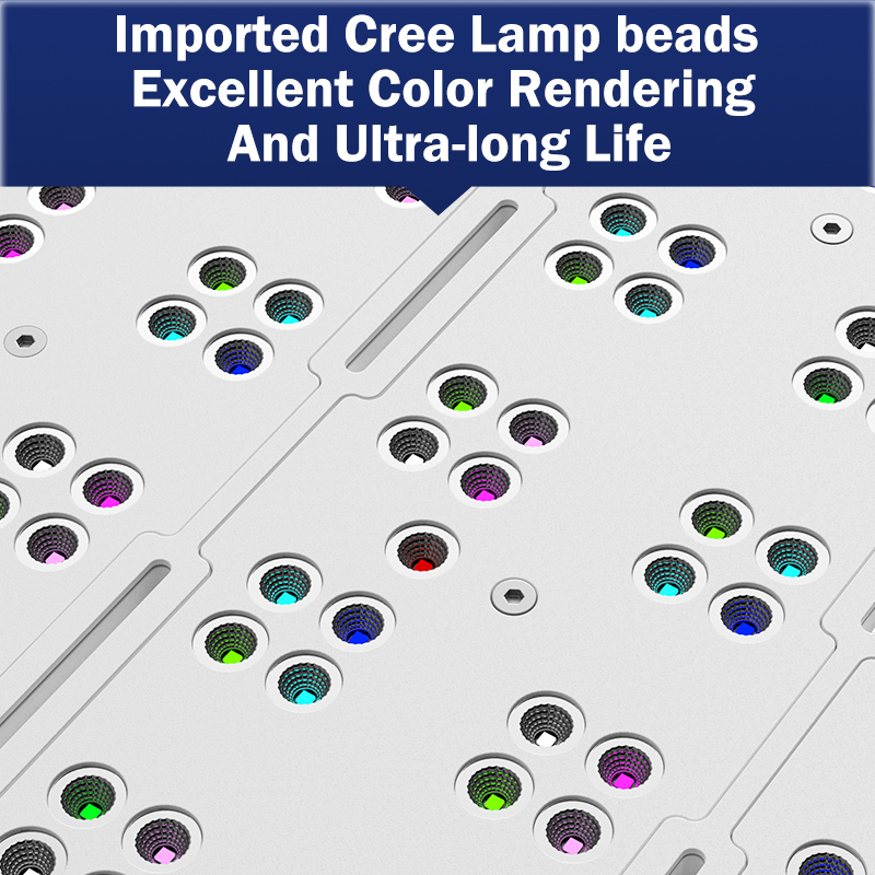 Aquarium Led Light - Lampada LED KASSRAY T169/T215 CREE a