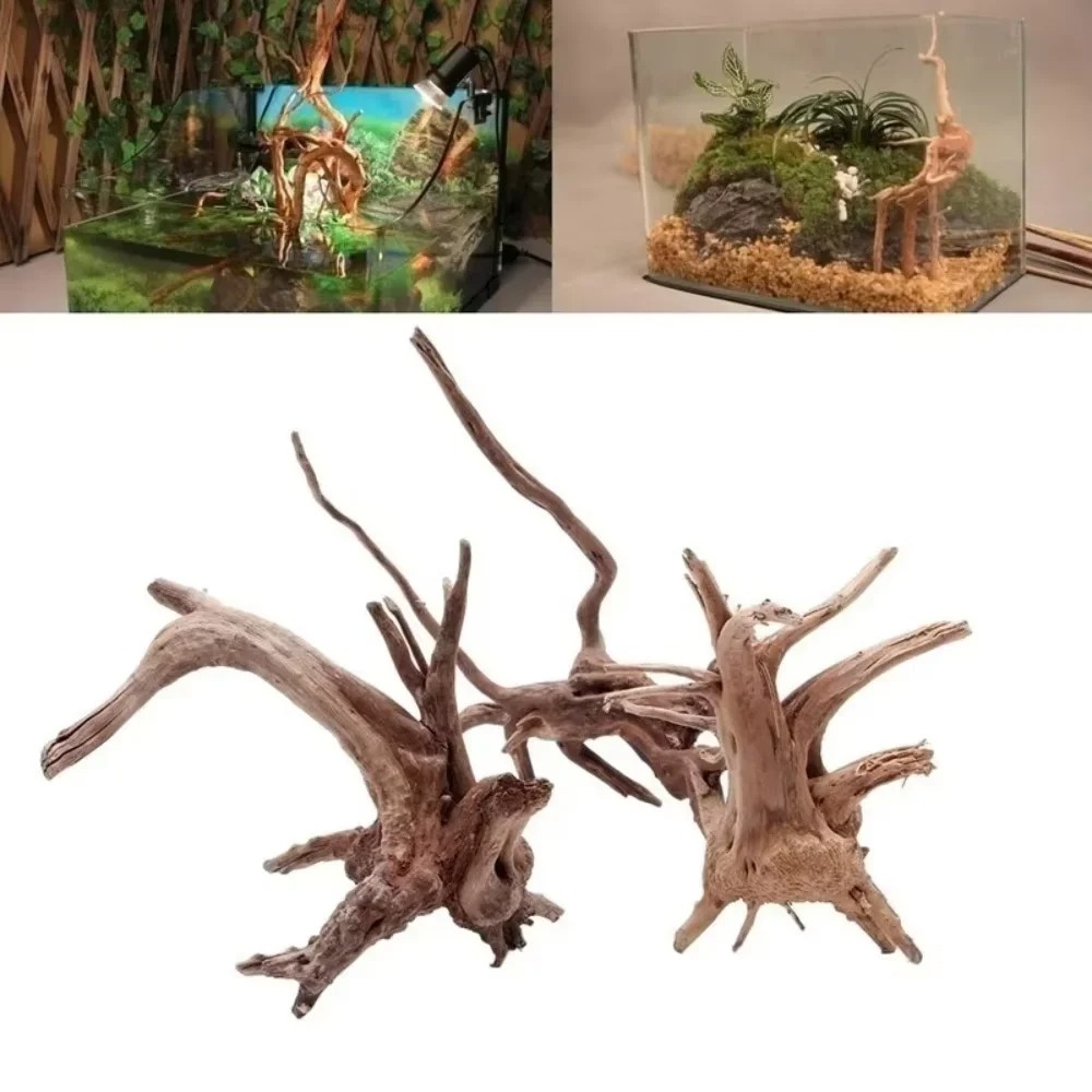 Aquarium Fish Guppy - Legno Naturale per Acquario 15-20CM -