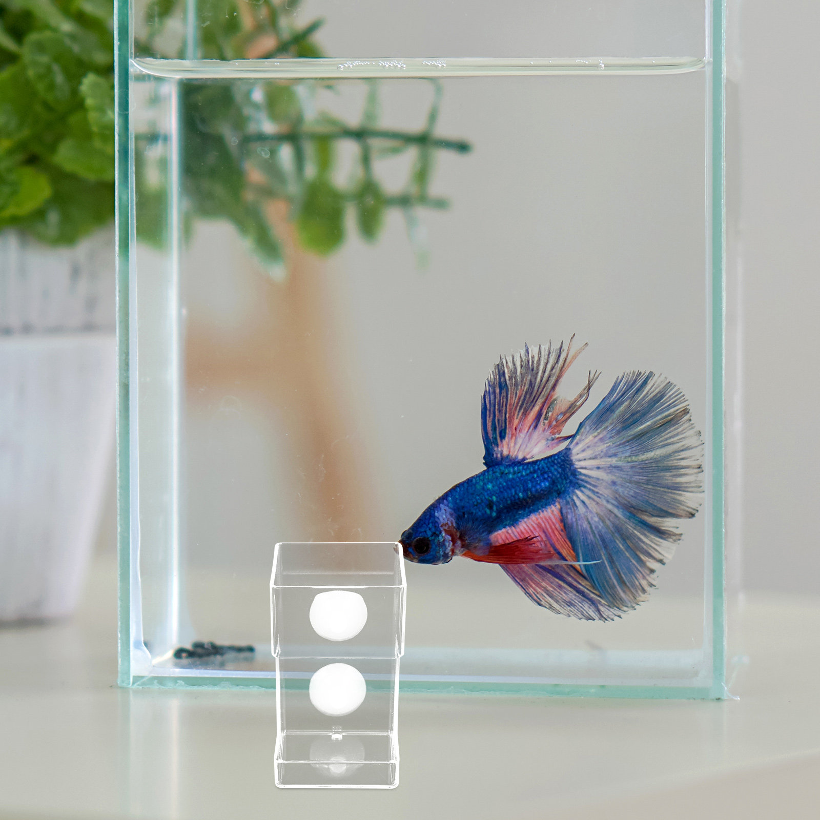 Aquarium Fish Feeder Automatic - Dispenser Automatico Galleggiante in Acrilico per