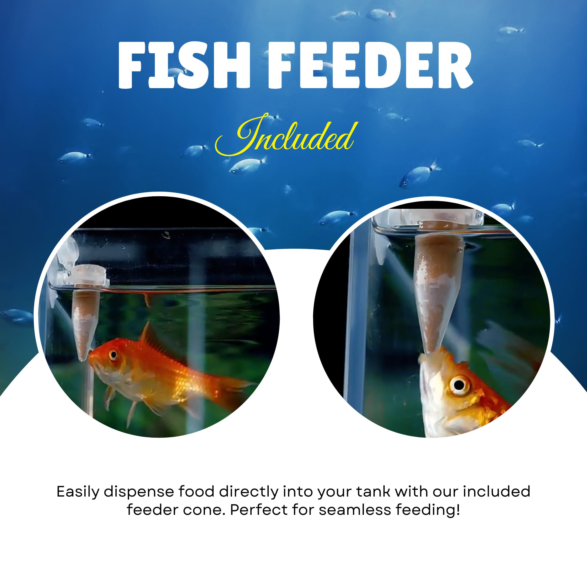 Set Completo di Uova di Artemi - Aquarium Fish Vitamin recensione e prezzo