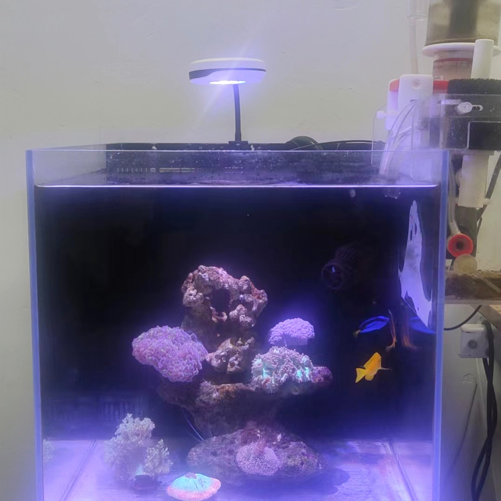 Lampada per acquario Spectra 2 - Refugium Light Nano recensione e prezzo