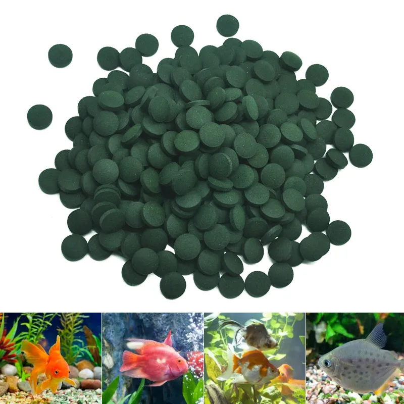 100 pz compresse di spirulina  - Aquarium Fish Vitamin recensione e prezzo