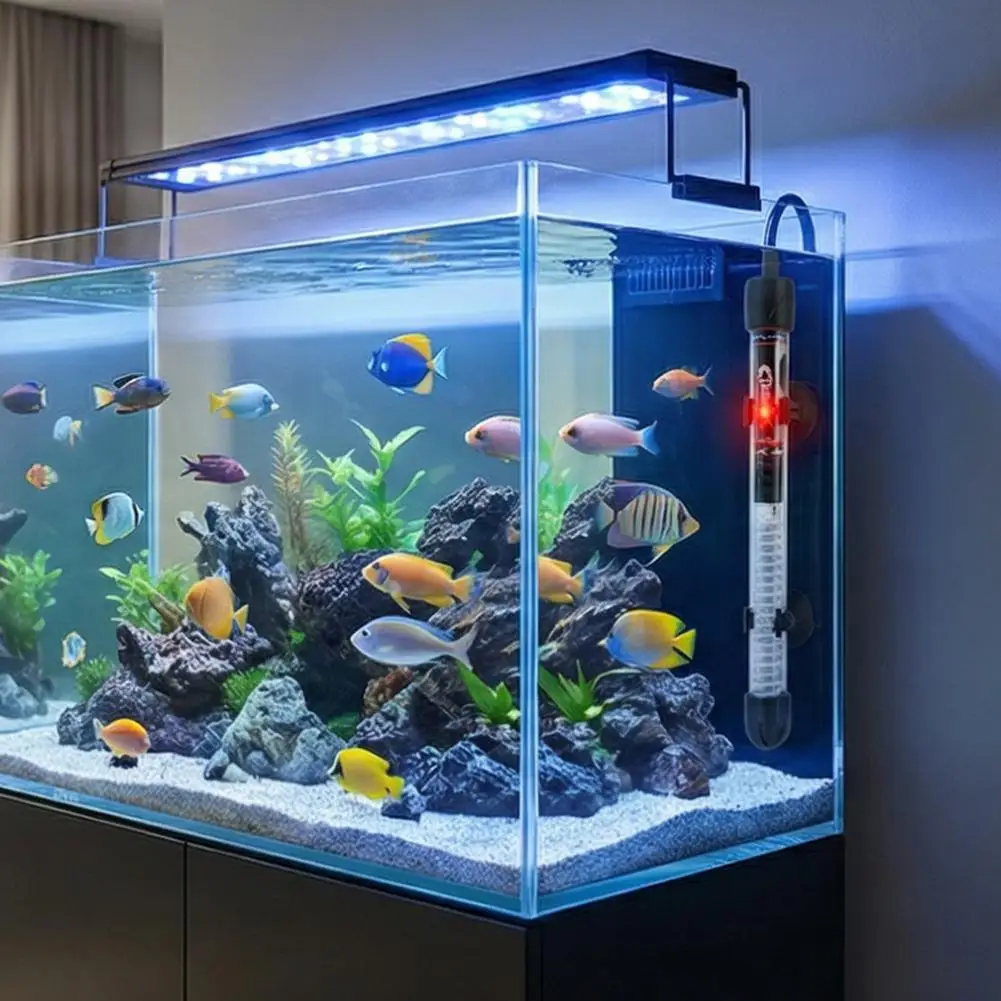 Riscaldatore per Acquario Rego - Aquarium Heater Submersible recensione e prezzo