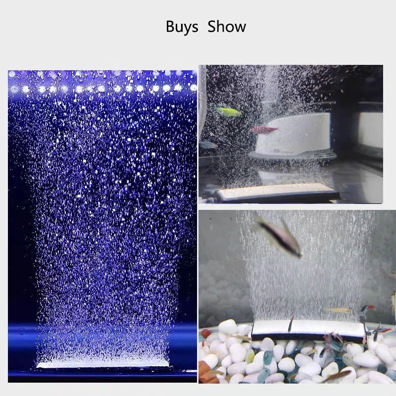 Di alta Qualità 10 centimetri  - Aquarium Fish Quality recensione e prezzo