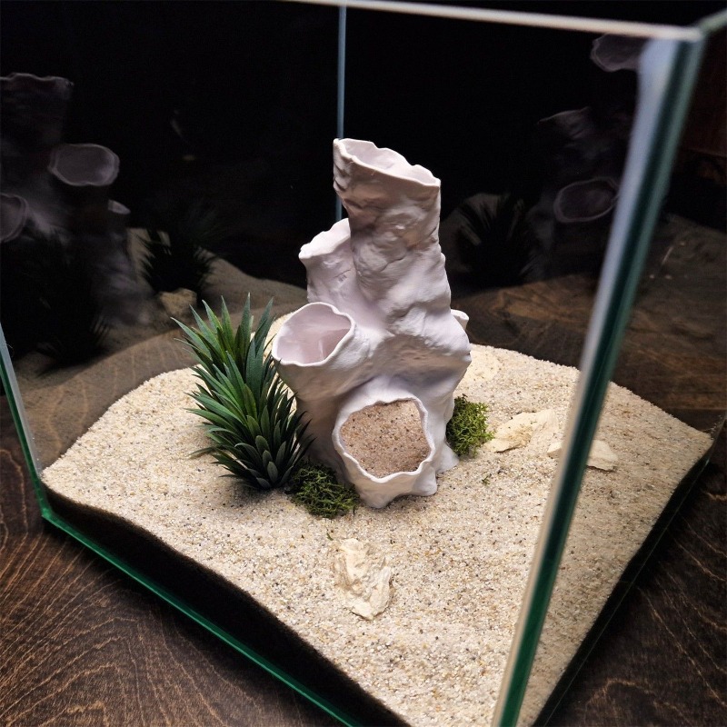 Offerta Speciale: Tunnel Coral - Aquarium Fish Sale recensione e prezzo