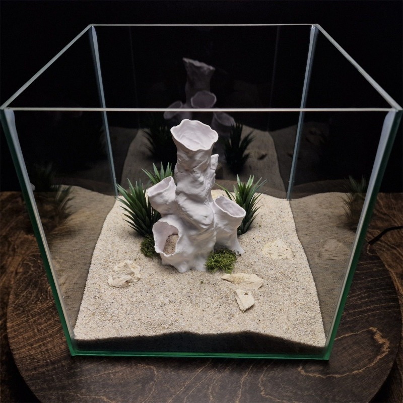 Offerta Speciale: Tunnel Coral - Aquarium Fish Sale recensione e prezzo