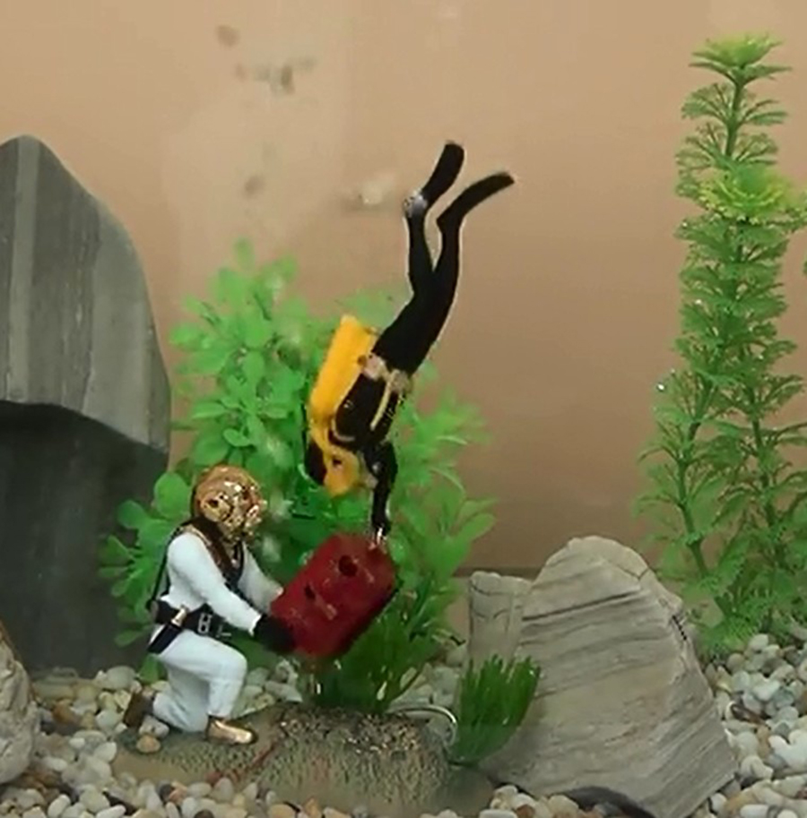 Decorazione per acquario caldo - Aquarium Fish Gif recensione e prezzo