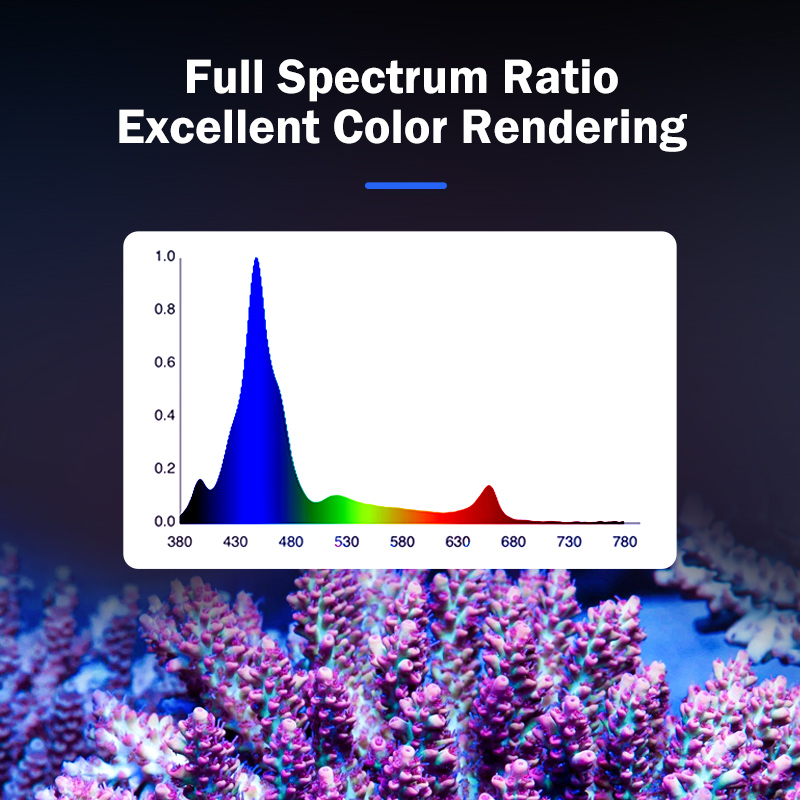 Lampada LED KASSRAY T169/T215  - Aquarium Led Light recensione e prezzo