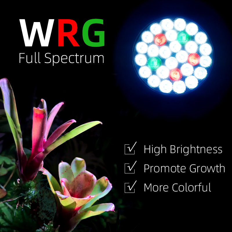 Y30SE Lampadina per coltivazio - Aquarium Led Light recensione e prezzo