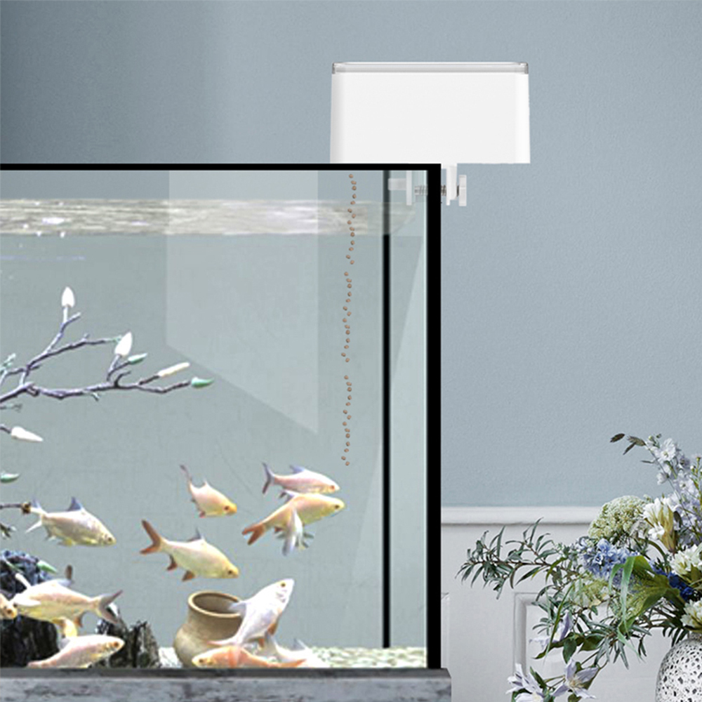 Alimentatore per pesci di gran - Aquarium Fish Feeder Automatic recensione e prezzo