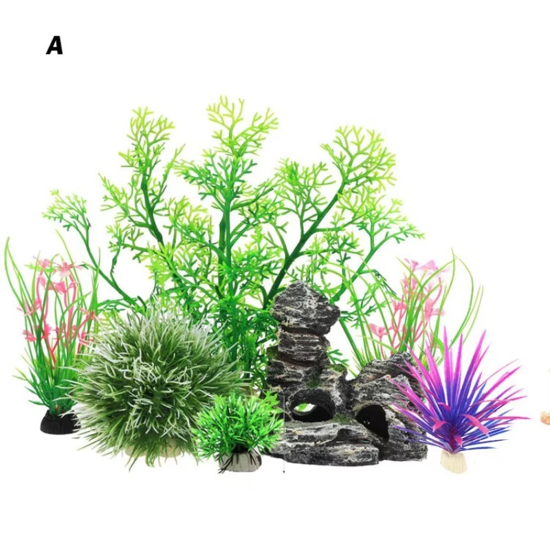 10 Pezzi Nuovi Arrivi Piante e - Aquarium Fish Sale recensione e prezzo