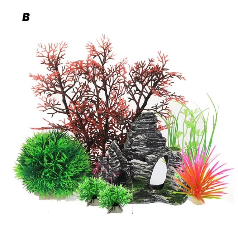 10 Pezzi Nuovi Arrivi Piante e - Aquarium Fish Sale recensione e prezzo