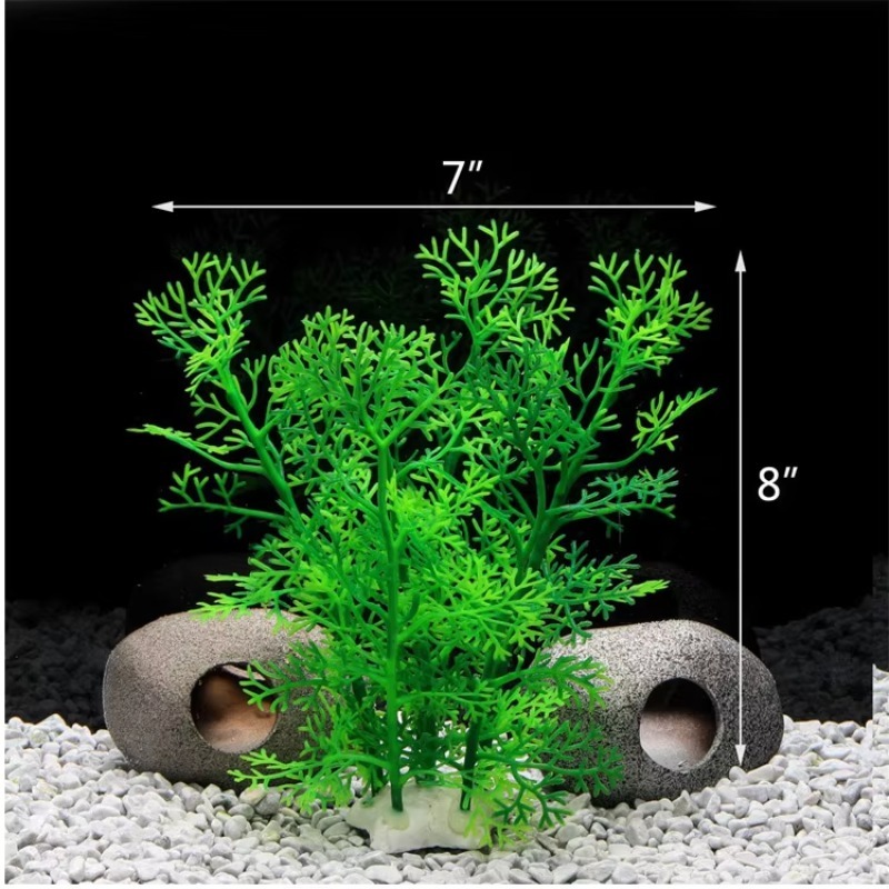 10 Pezzi Nuovi Arrivi Piante e - Aquarium Fish Sale recensione e prezzo