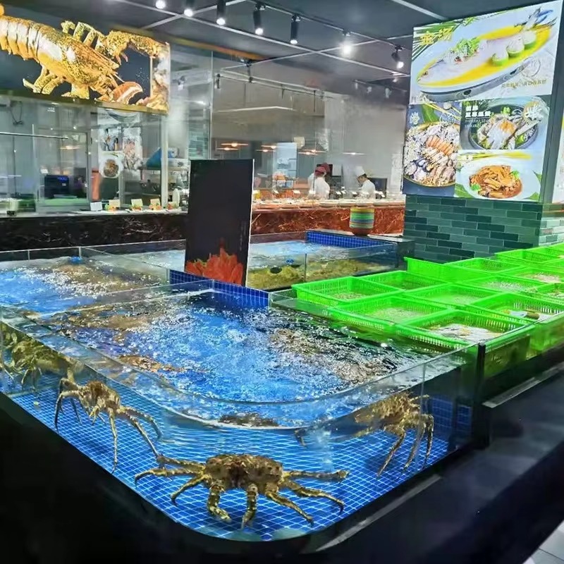 Acquario Quadrato in Vetro per - Aquarium Xxl recensione e prezzo