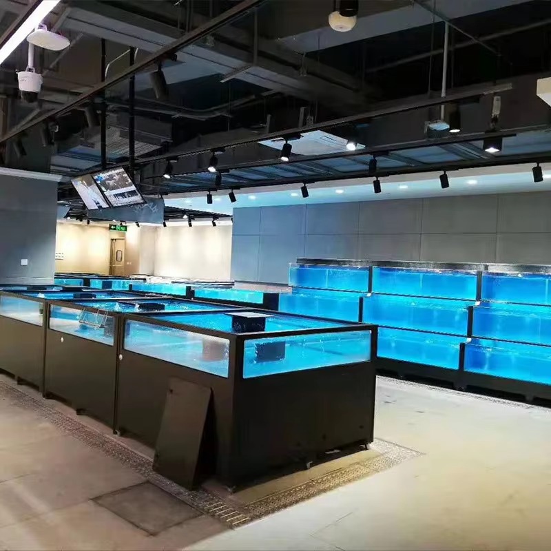 Acquario Quadrato in Vetro per - Aquarium Xxl recensione e prezzo