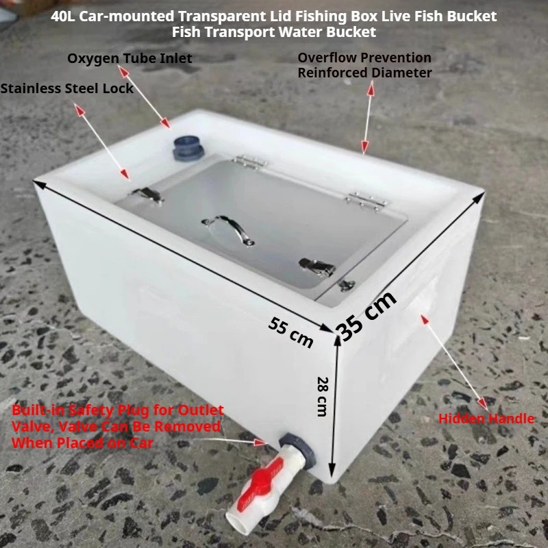 Contenitore per Pesci Vivi Rin - Aquarium Fish Buy recensione e prezzo