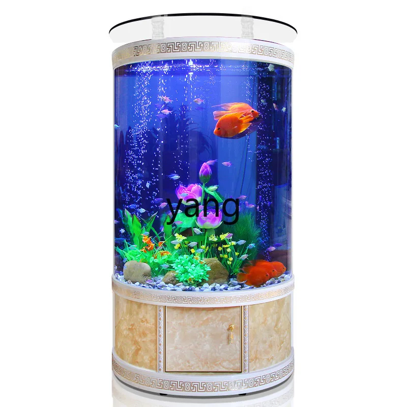 LTT acquario semirotondo per a - Aquarium Xxl recensione e prezzo