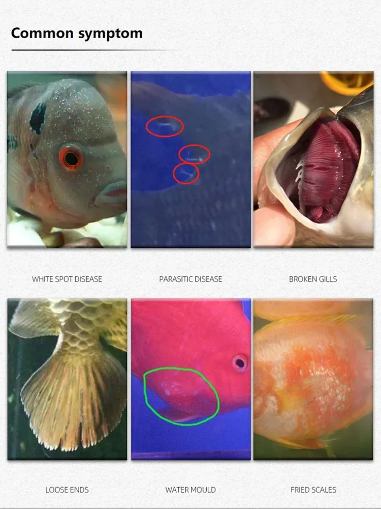Soluzione di Blu di Metilene 1 - Aquarium Fish Vitamin recensione e prezzo