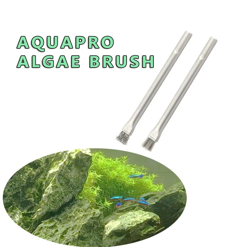Aquapro Spazzola per alghe Spa - Aquarium Fish Quality recensione e prezzo