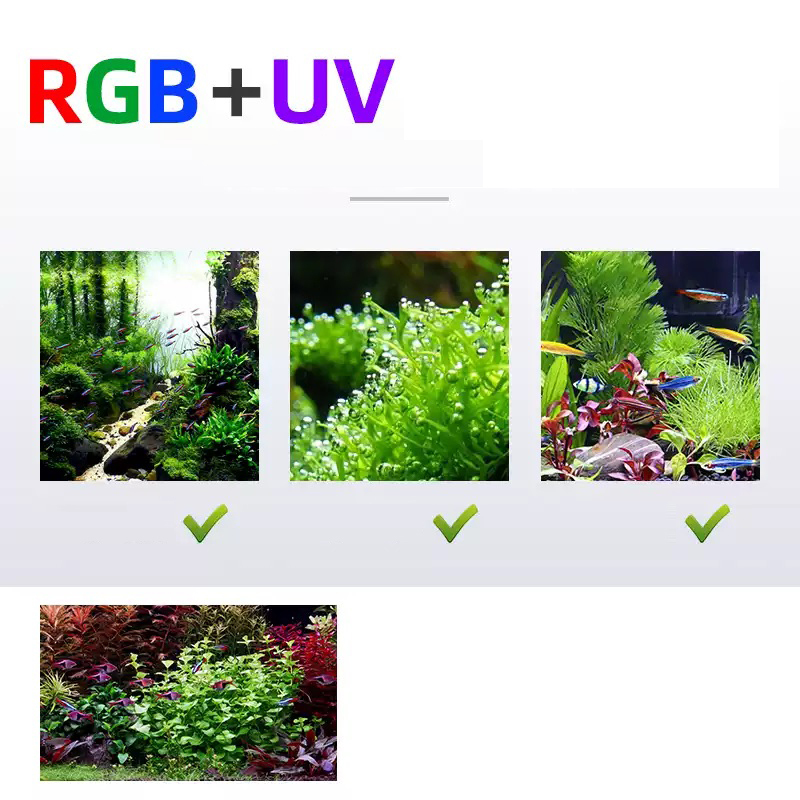 Illuminazione a LED 60 cm 80 c - Aquarium Fish Sale recensione e prezzo