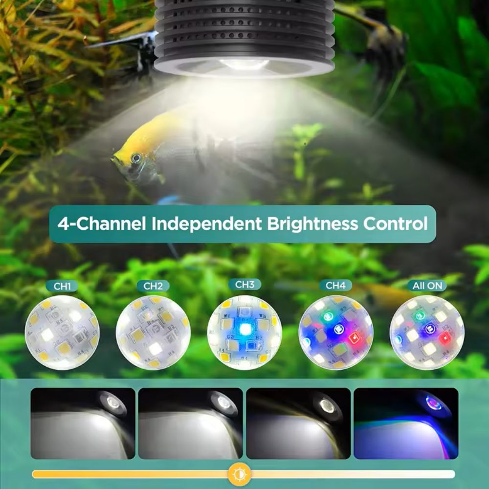 Lominie Asta 20 Luce LED per A - Refugium Light Nano recensione e prezzo