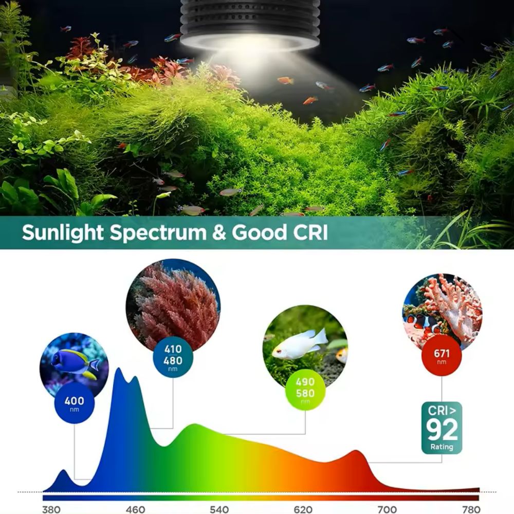 Lominie Asta 20 Luce LED per A - Refugium Light Nano recensione e prezzo