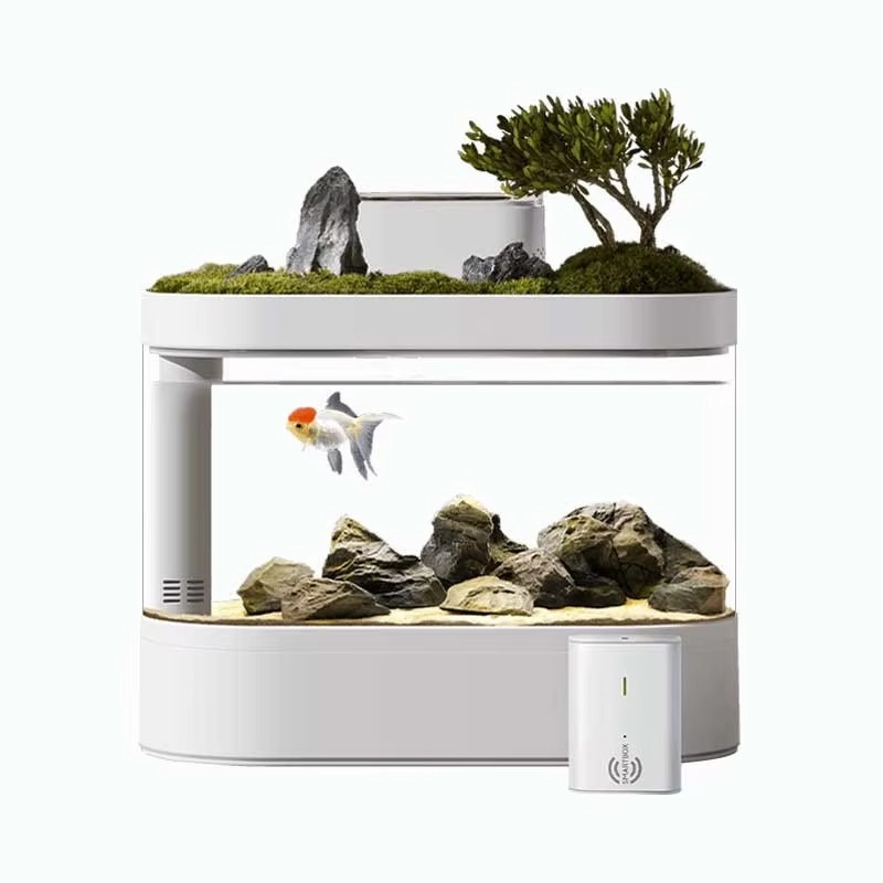 Acquario Smart da Tavolo con A - Aquarium Fish Feeder Automatic recensione e prezzo