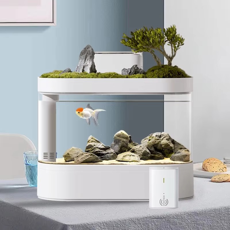 Acquario Smart da Tavolo con A - Aquarium Fish Feeder Automatic recensione e prezzo