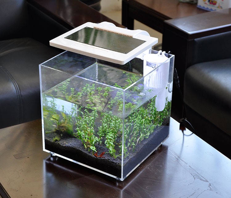 Mini Acquario in Acrilico (25* - Aquarium Fish Sale recensione e prezzo