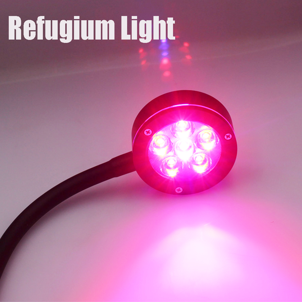 Nano Glo Refugium Aquarium Sum - Refugium Light Nano recensione e prezzo