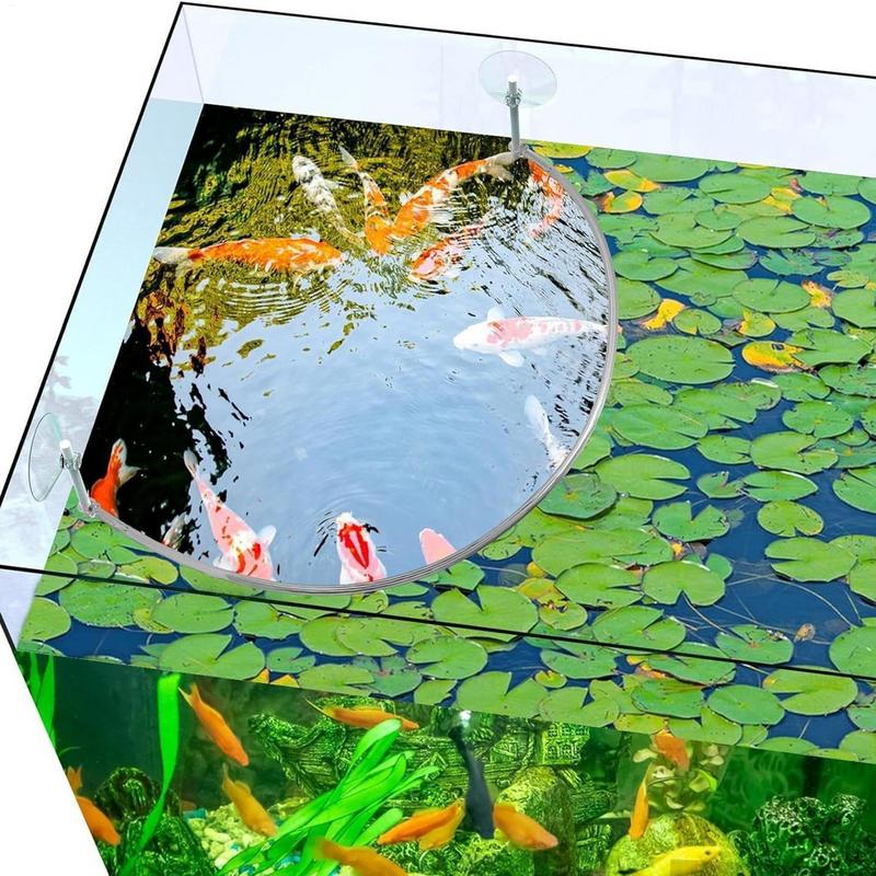 Anello di alimentazione per pe - Aquarium Fish Quality recensione e prezzo