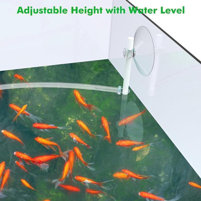 Anello di alimentazione per pe - Aquarium Fish Quality recensione e prezzo