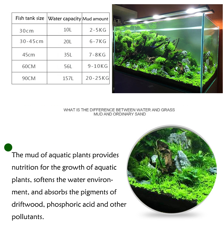 Acquario semi di piante terren - Aquarium Fish Buy recensione e prezzo