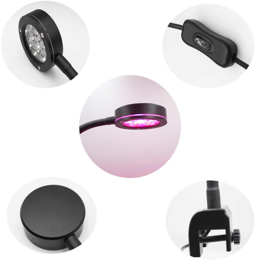 Nuova lampada per acquario Nan - Refugium Light Nano recensione e prezzo