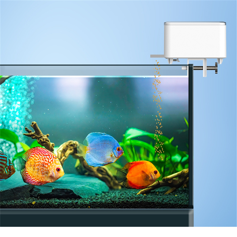 Alimentatore automatico intell - Aquarium Fish Feeder Automatic recensione e prezzo