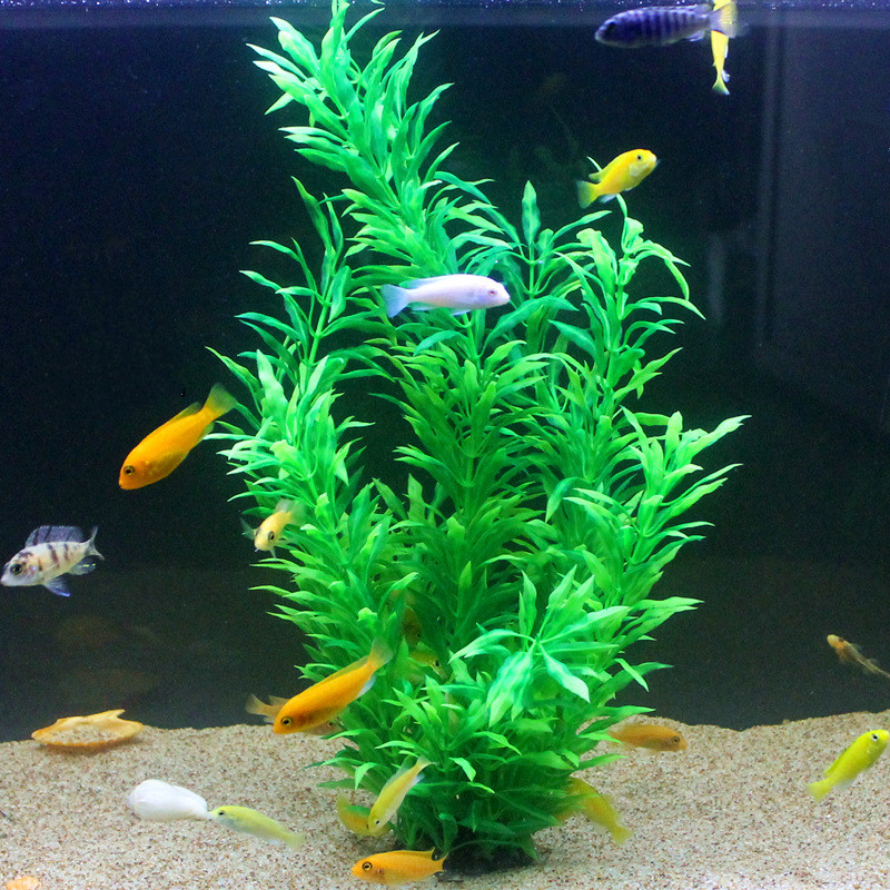 50CM Acquario artificiale Pian - Aquarium Fish Buy recensione e prezzo