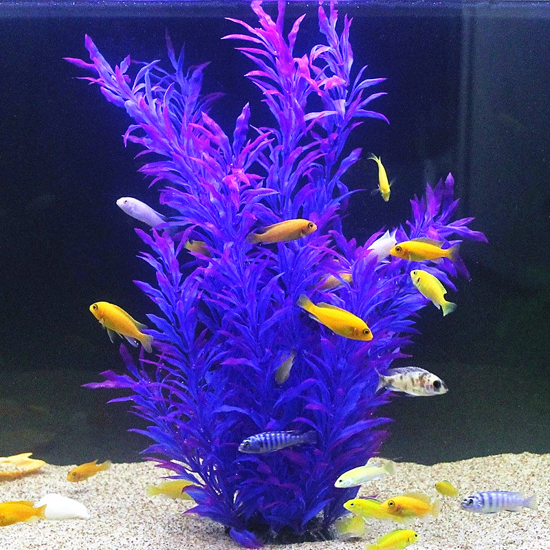 50CM Acquario artificiale Pian - Aquarium Fish Buy recensione e prezzo