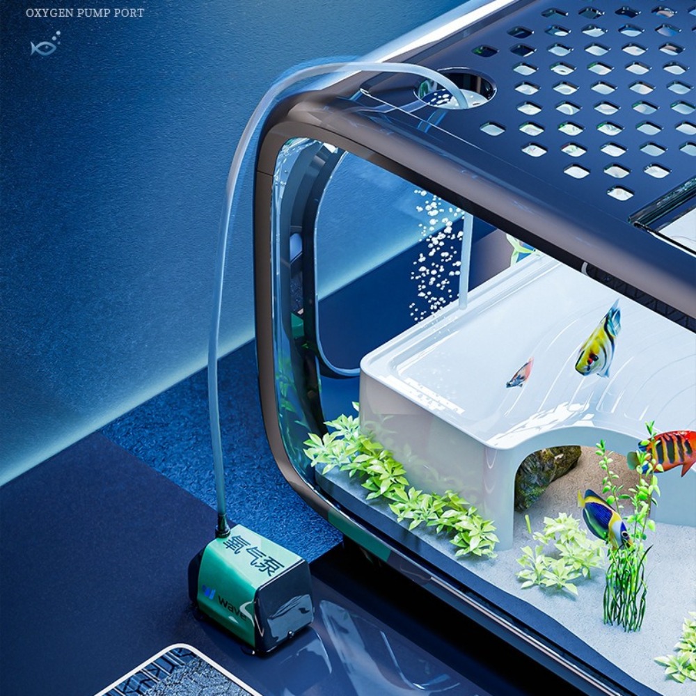 Acquario di lusso trasparente  - Aquarium Xxl recensione e prezzo