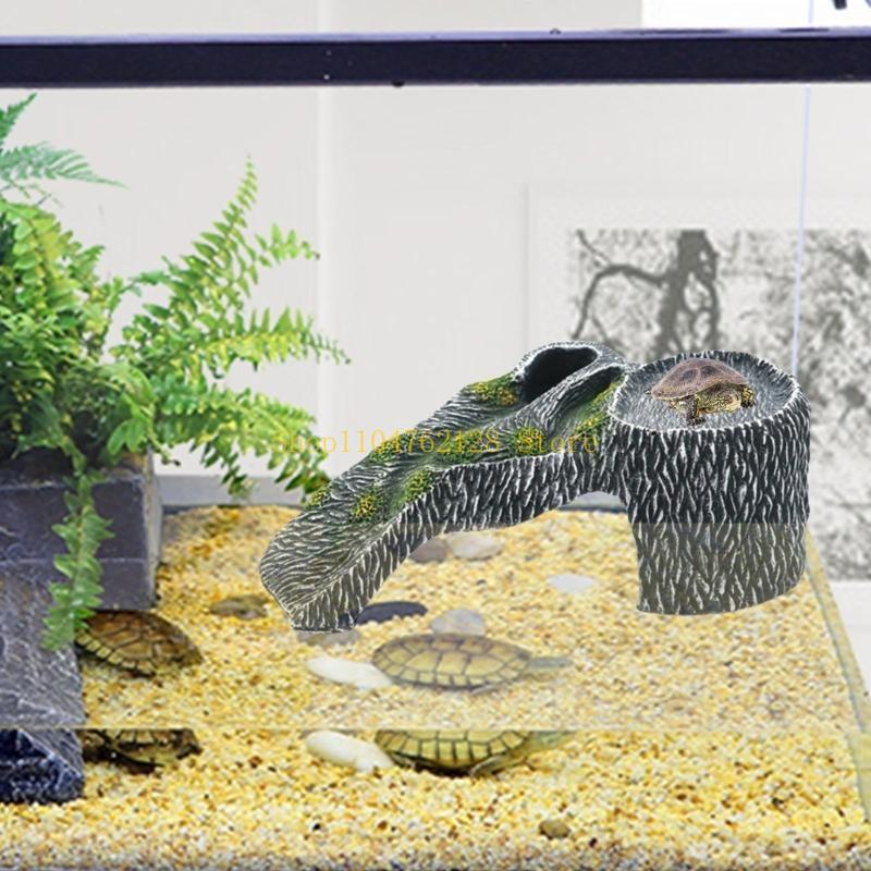 Terrari Piattaforma basking Ac - Aquarium Fish Sale recensione e prezzo