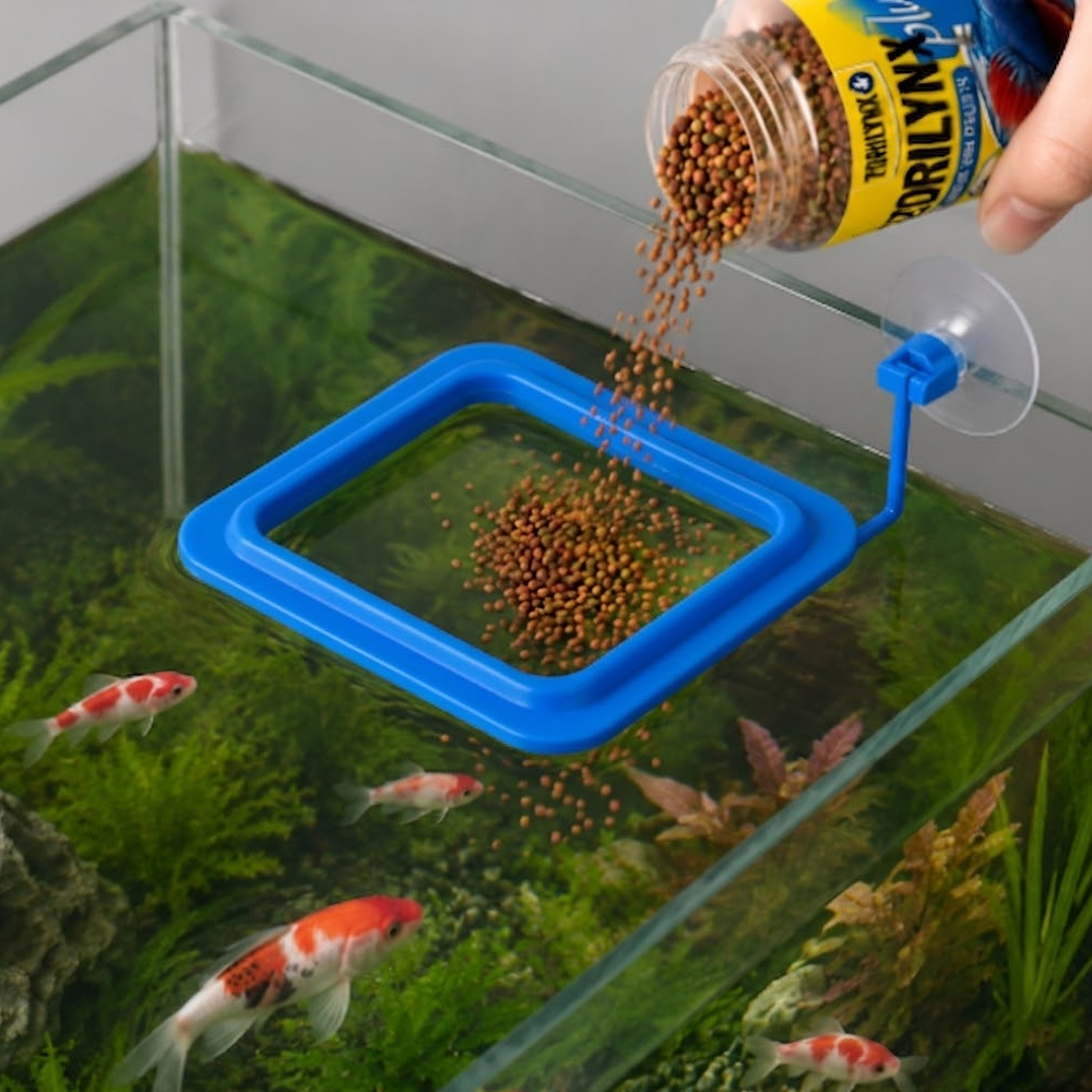 Mangime in pellet per pesci co - Aquarium Fish Vitamin recensione e prezzo