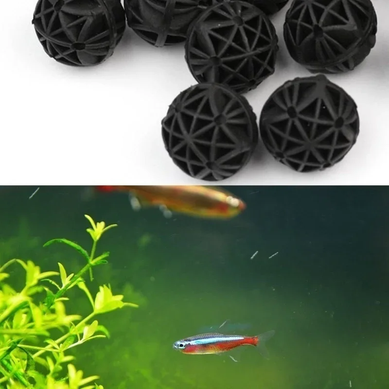 20 Pz 16mm Acquario Filtro Bio - Aquarium Fish Quality recensione e prezzo