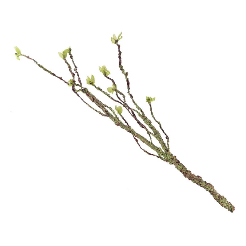 Viti Decor Rami da arrampicata - Aquarium Fish Buy recensione e prezzo