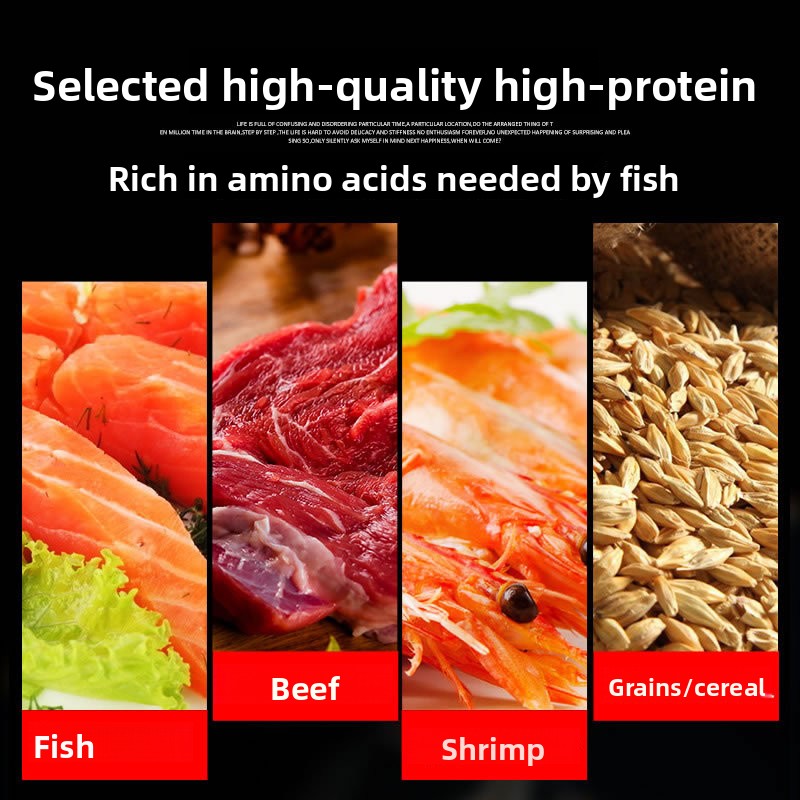 Mangime per Pesci Ornamentali  - Aquarium Fish Vitamin recensione e prezzo