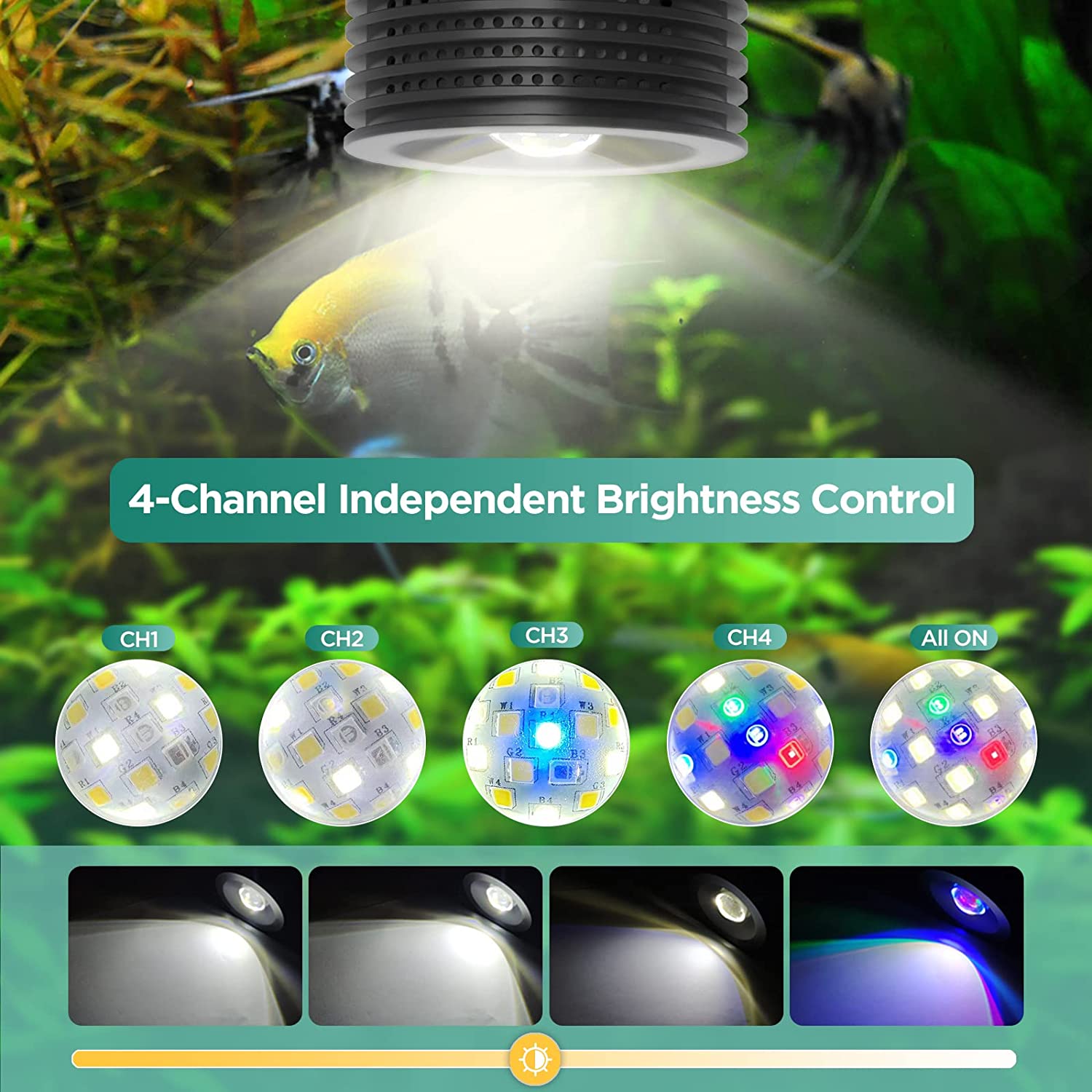 Lominie Asta 20 Acqua dolce 18 - Refugium Light Nano recensione e prezzo