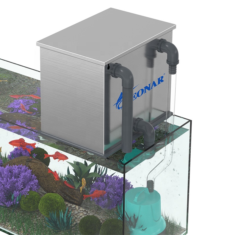 Vendite dirette in fabbrica Fi - Aquarium Fish Sale recensione e prezzo