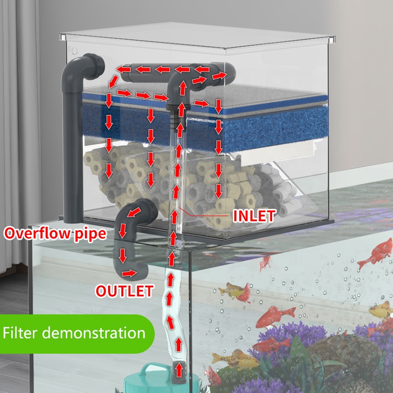 Vendite dirette in fabbrica Fi - Aquarium Fish Sale recensione e prezzo