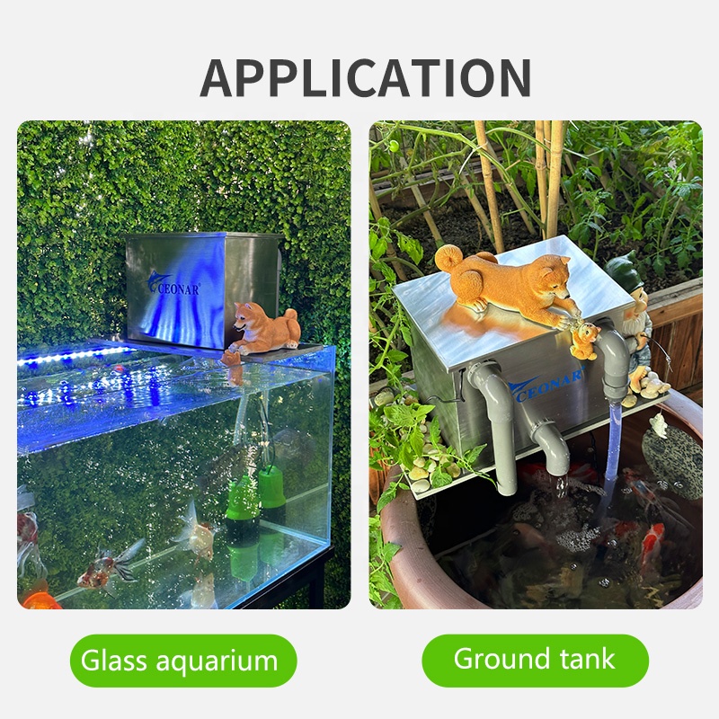 Vendite dirette in fabbrica Fi - Aquarium Fish Sale recensione e prezzo