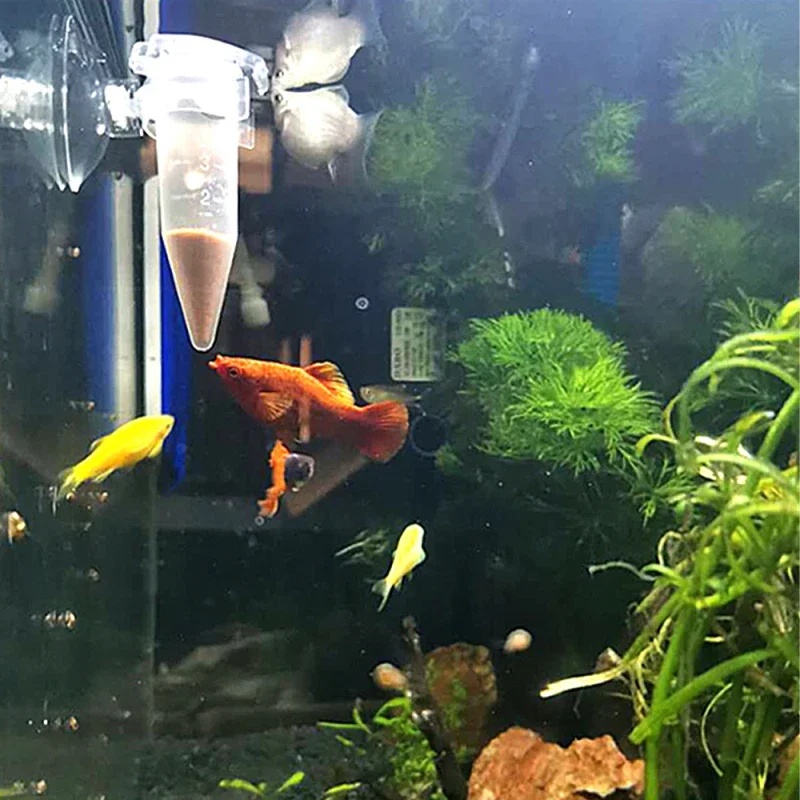 Alimentatore automatico per pe - Aquarium Fish Feeder Automatic recensione e prezzo