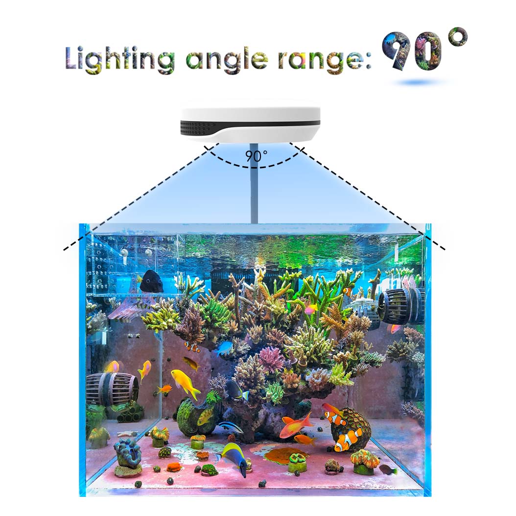 Clip su 20W LED Luce per acqua - Refugium Light Nano recensione e prezzo